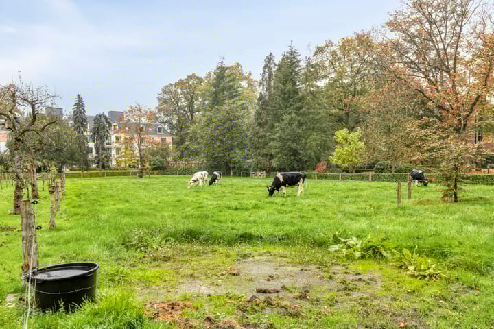 Photo 41 of de Decanije 30