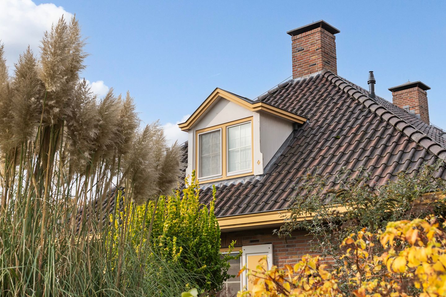 Foto 4 van Peuscher 4