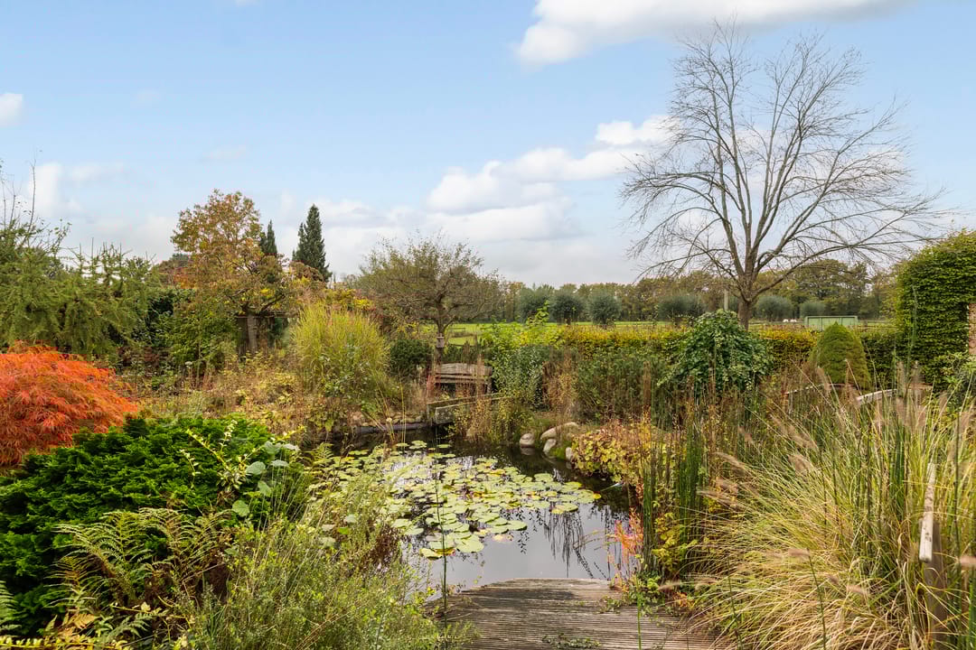 Foto 47 van Peuscher 4