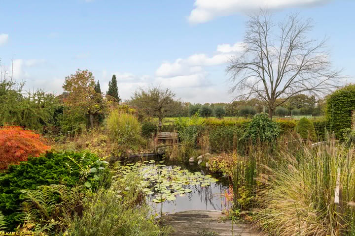 Photo 47 of Peuscher 4