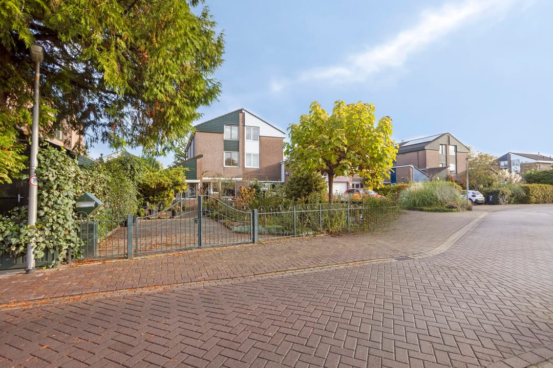 Foto 2 van Koningsvaren 12