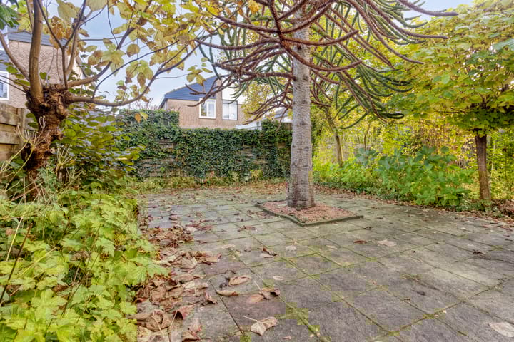 Foto 4 van Koningsvaren 12