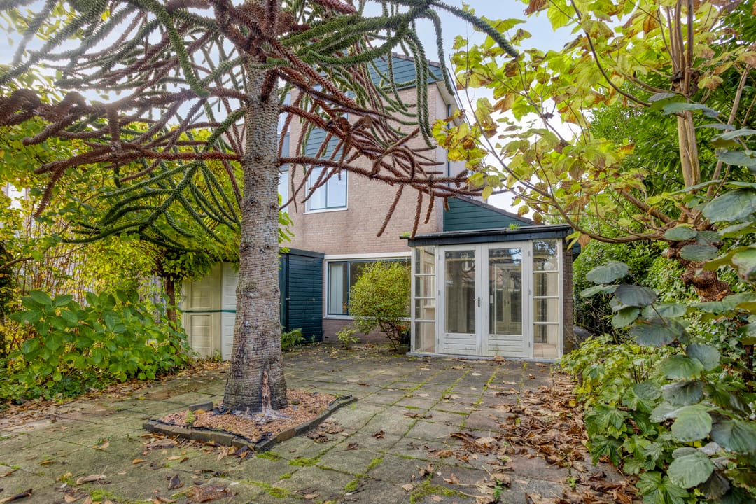 Foto 23 van Koningsvaren 12