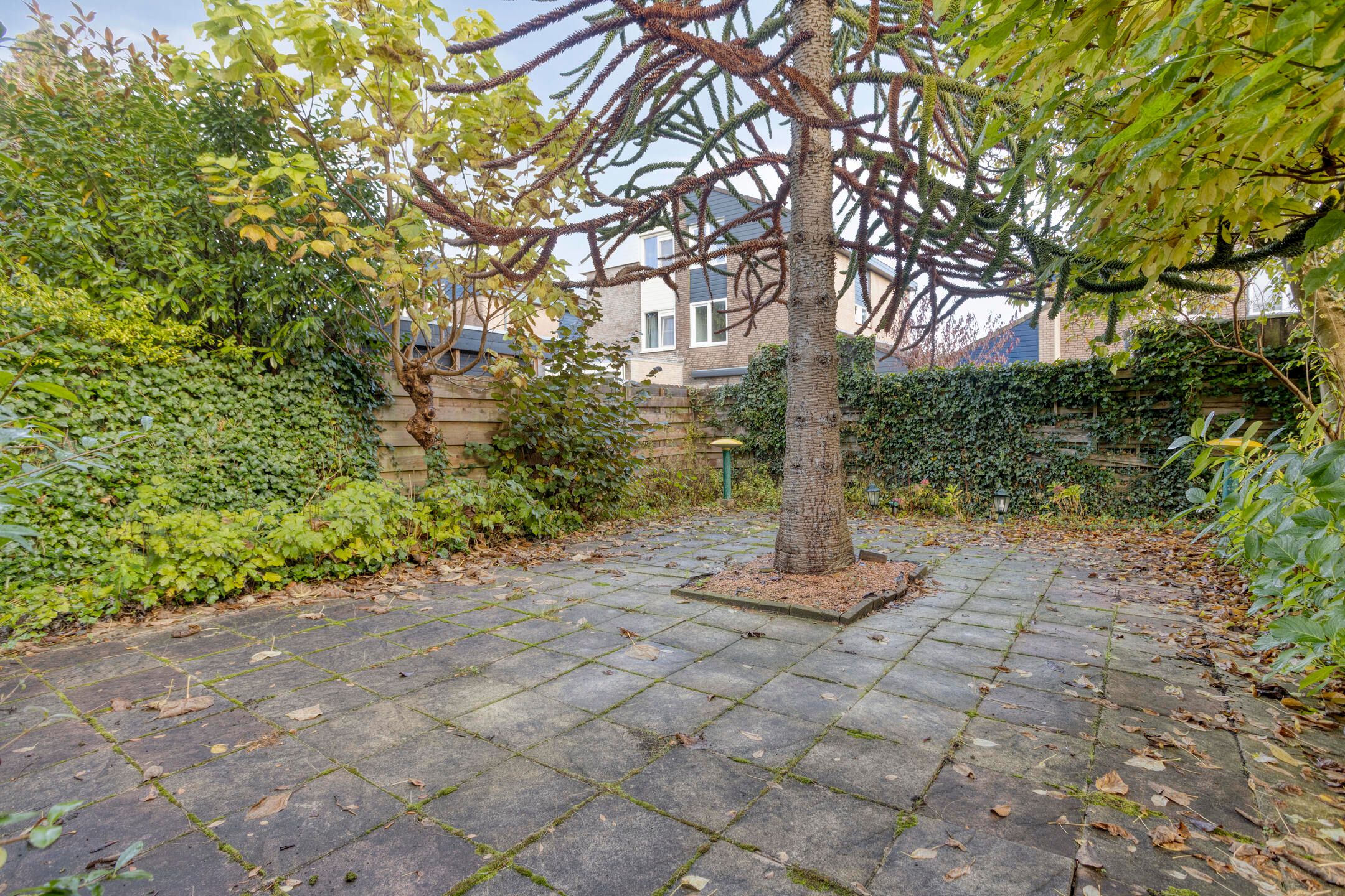 Foto 24 van Koningsvaren 12