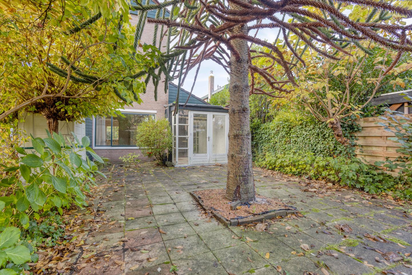 Foto 25 van Koningsvaren 12