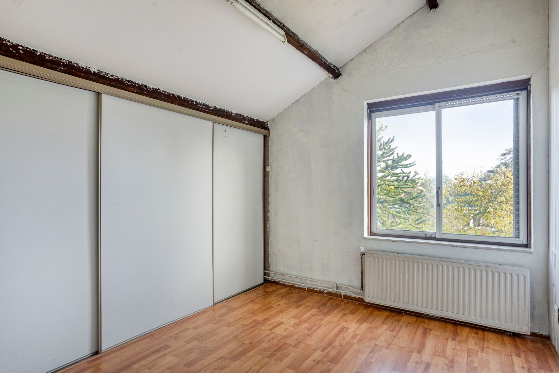 Foto 42 van Koningsvaren 12