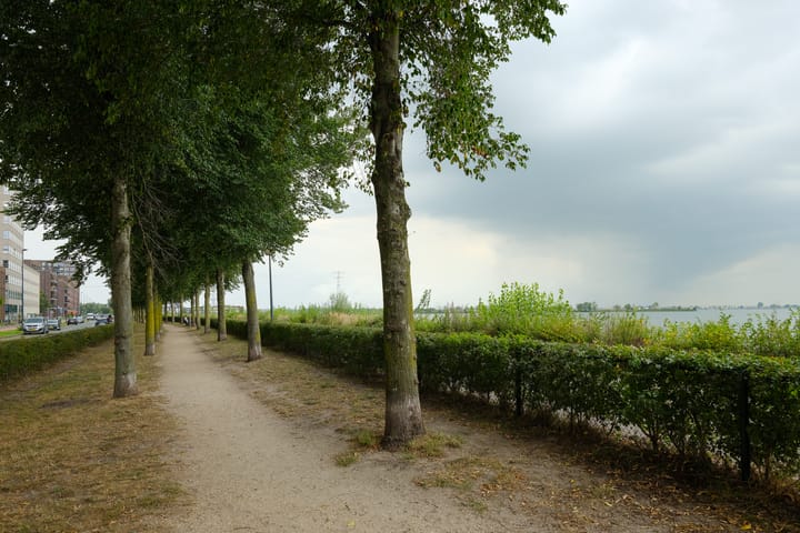 Foto 27 van Talbotstraat 221