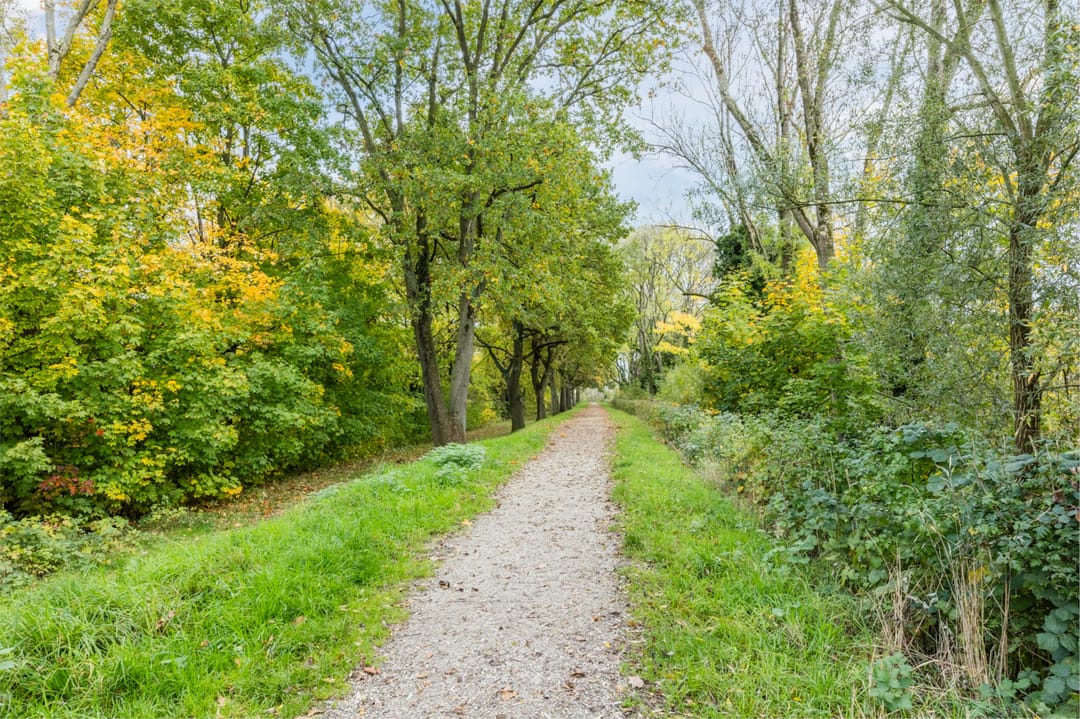 Foto 31 van Het Mauritsveld 8