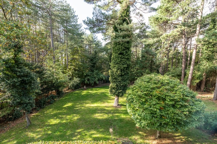 Photo 4 of Hoge Duin en Daalseweg 18