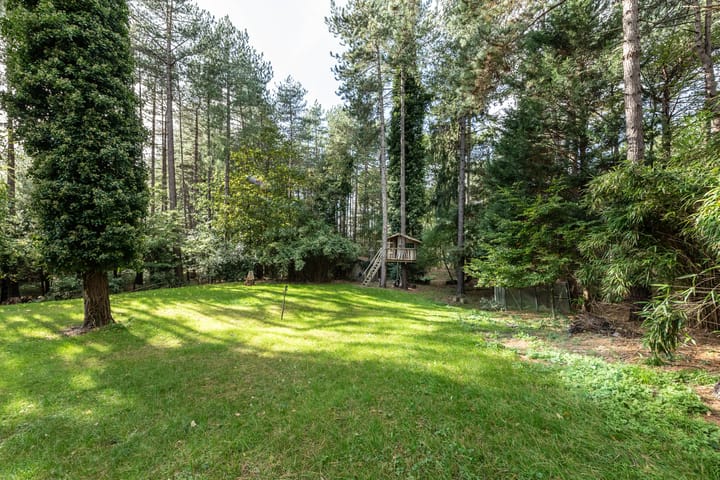 Photo 8 of Hoge Duin en Daalseweg 18