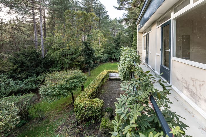 Photo 37 of Hoge Duin en Daalseweg 18