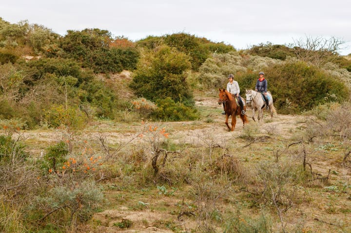 Photo 64 of Hoge Duin en Daalseweg 18