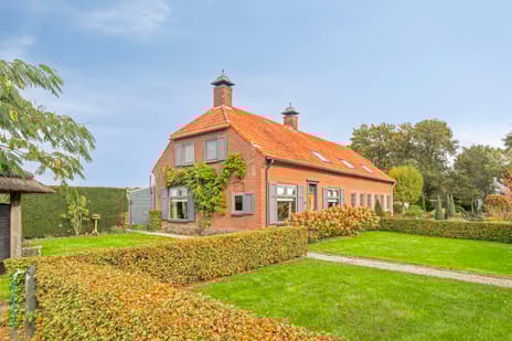 undefined main image