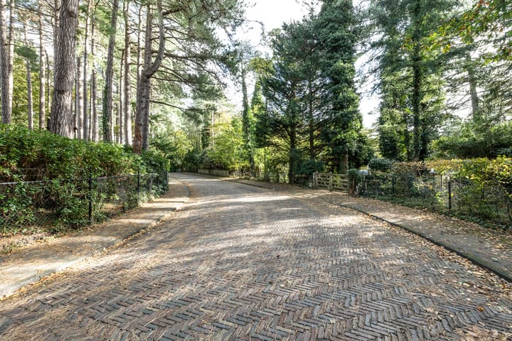 Photo 61 of Hoge Duin en Daalseweg 18