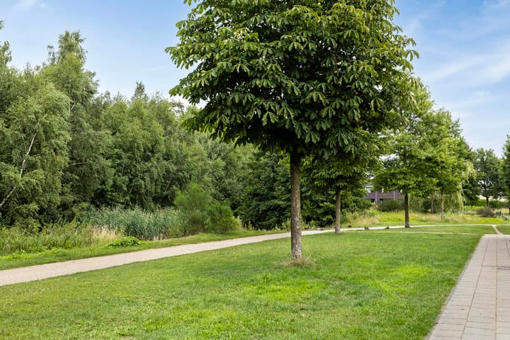 Foto 42 van Joost van den Vondelstraat 115