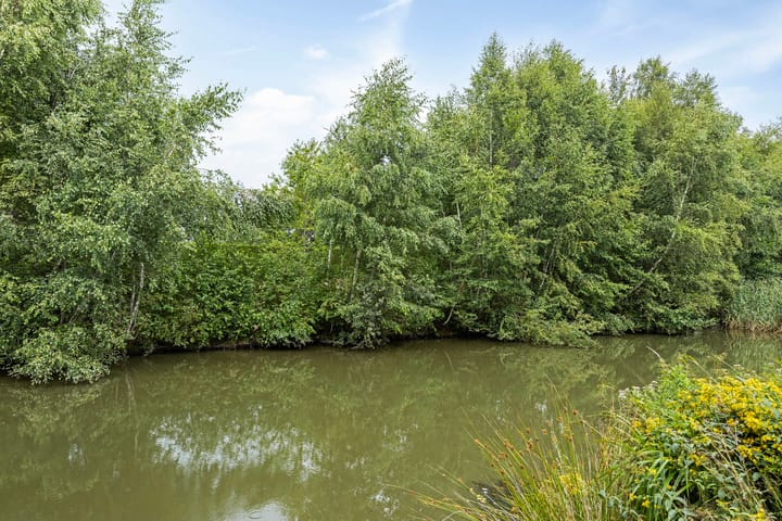 Foto 43 van Joost van den Vondelstraat 115