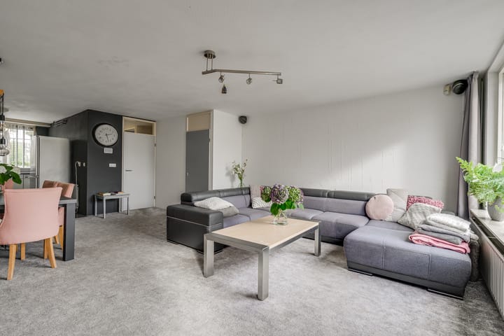 Photo 9 of Meerkoet 46