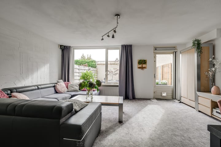 Photo 10 of Meerkoet 46