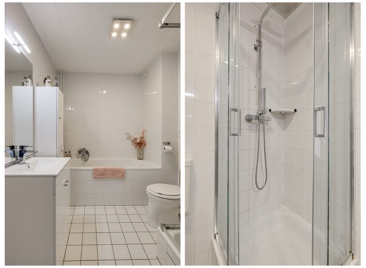 Photo 23 of Meerkoet 46