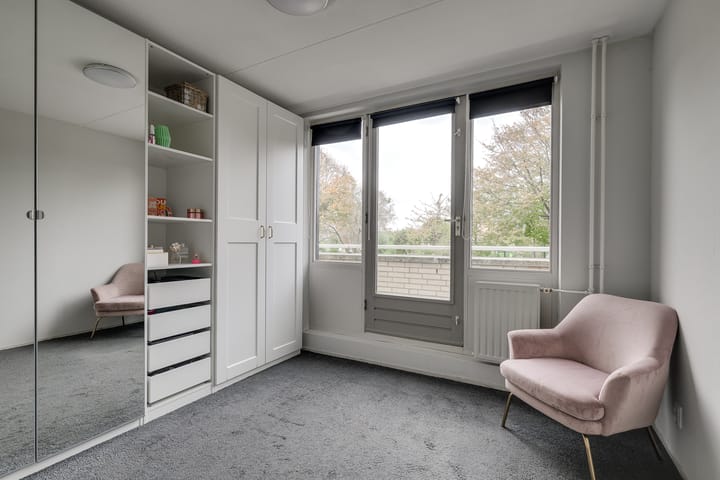 Photo 24 of Meerkoet 46