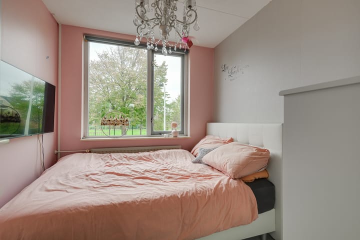 Photo 25 of Meerkoet 46