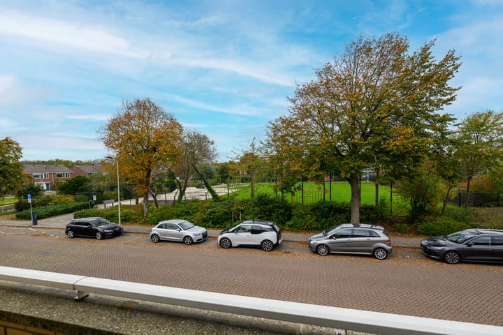 Photo 30 of Meerkoet 46