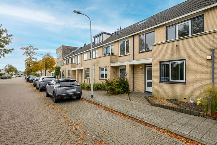 Photo 31 of Meerkoet 46