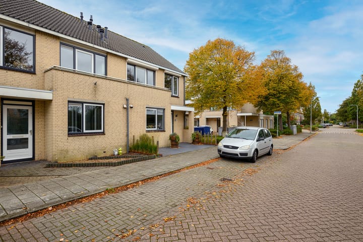 Photo 32 of Meerkoet 46