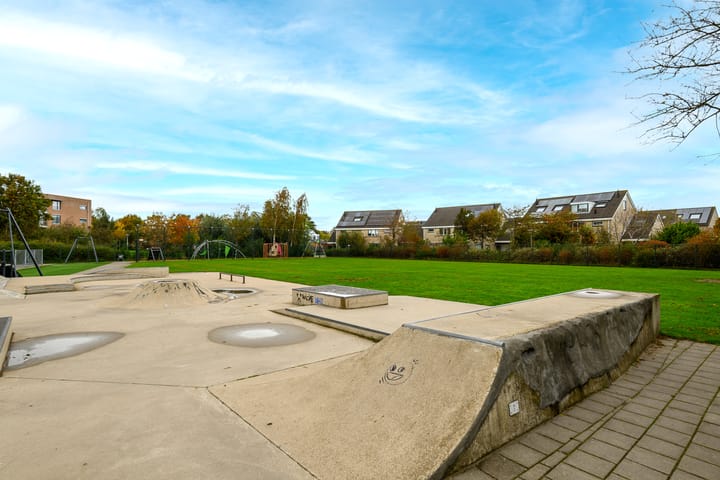 Photo 33 of Meerkoet 46