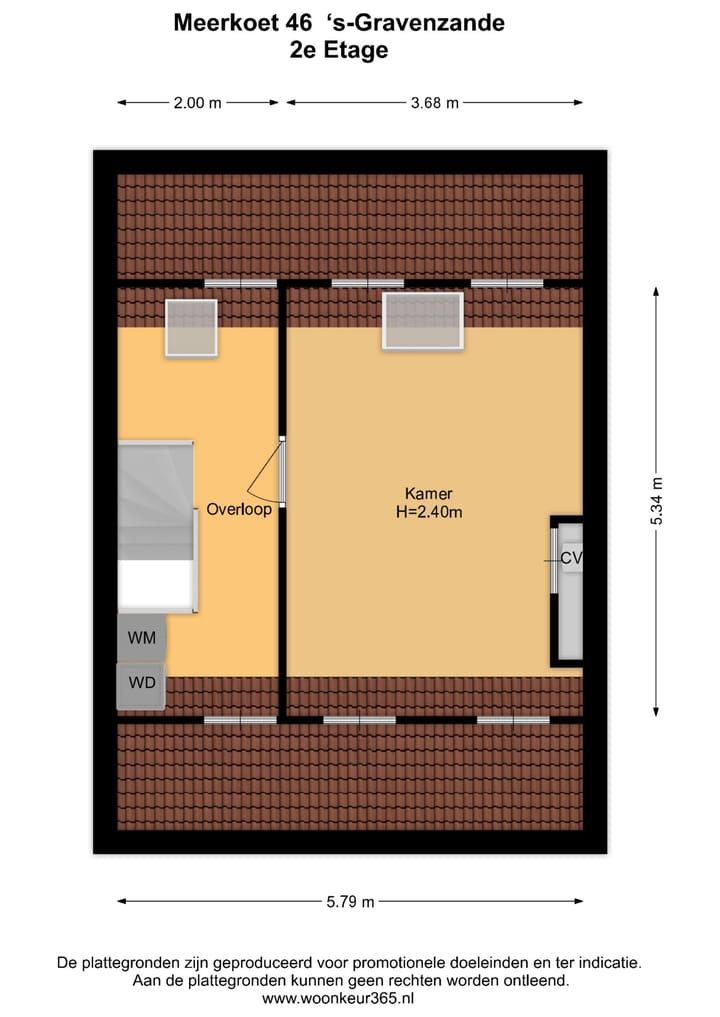 Photo 41 of Meerkoet 46