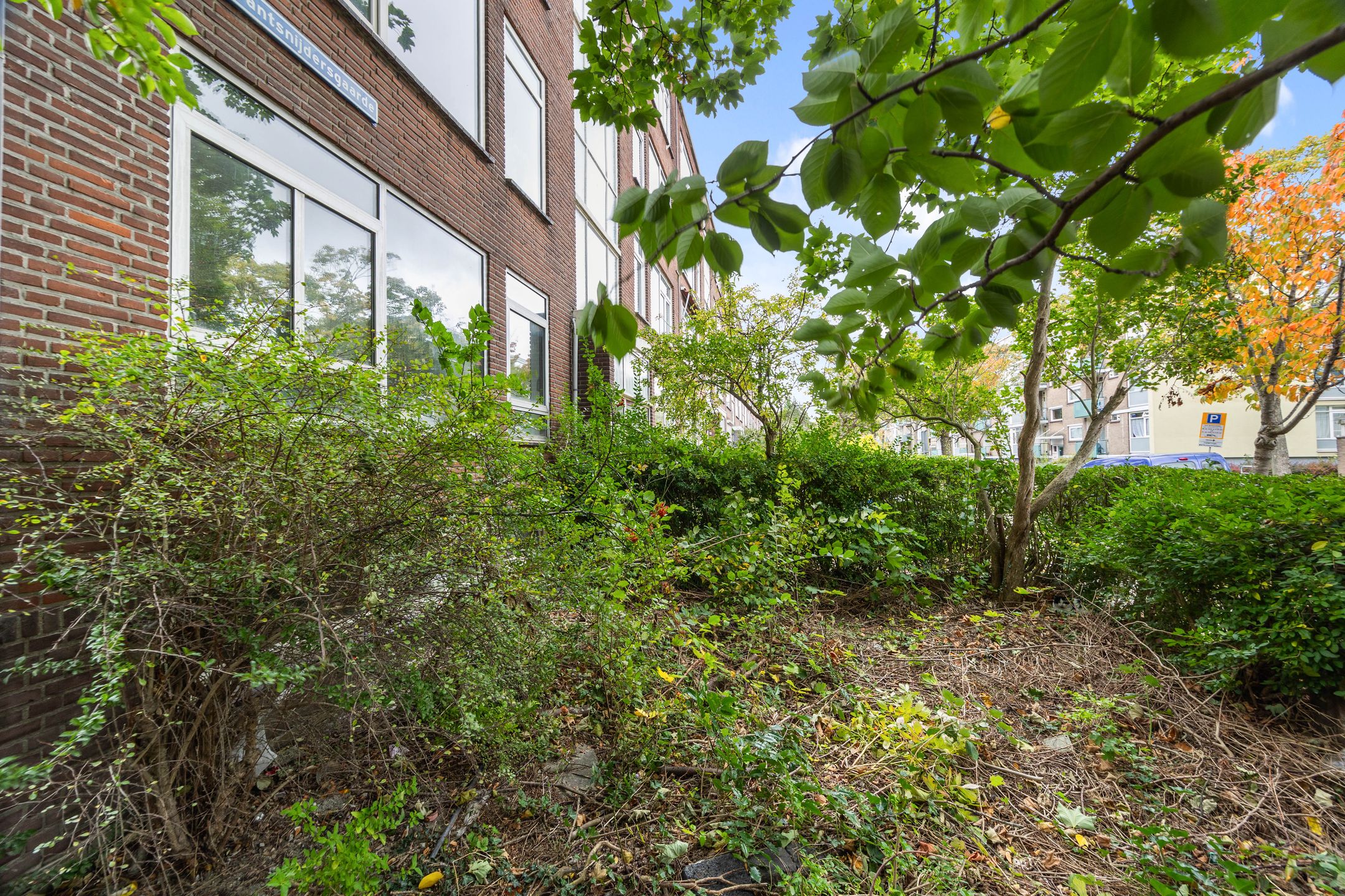 Photo 33 of Wantsnijdersgaarde 631