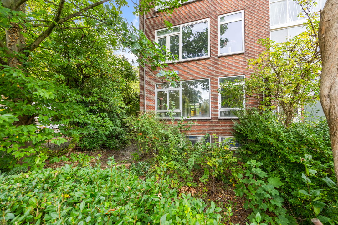 Photo 28 of Wantsnijdersgaarde 631