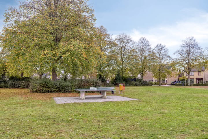 Photo 38 of Meidoornstraat 5