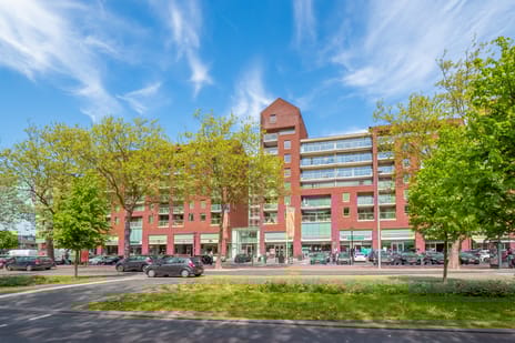 undefined main image