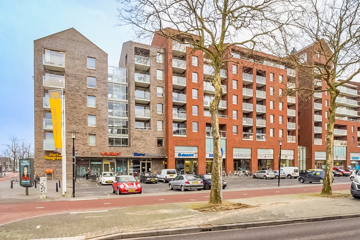 Foto 37 van Heemstedelaan 41