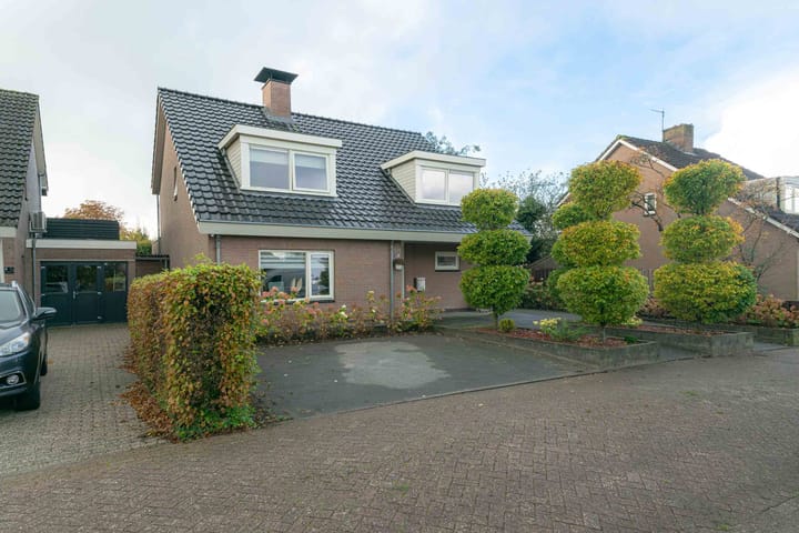 Photo 5 of Molefinne 42