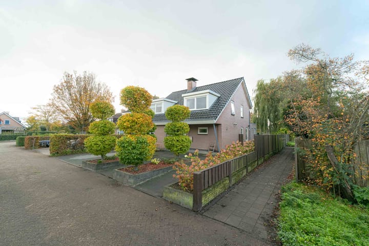 Photo 6 of Molefinne 42