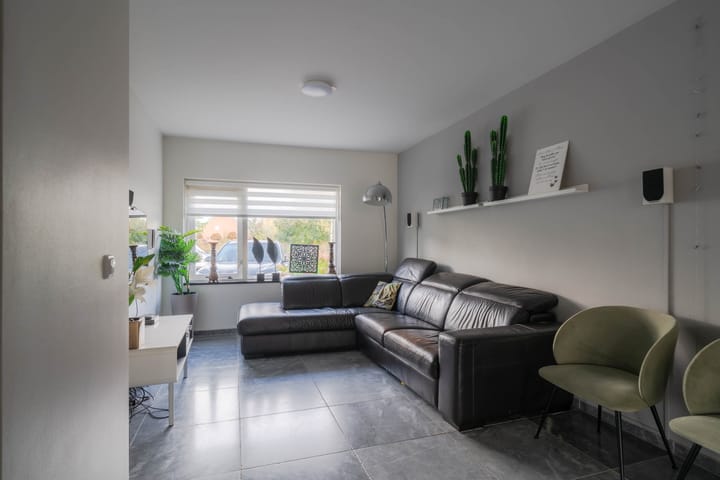 Photo 8 of Molefinne 42