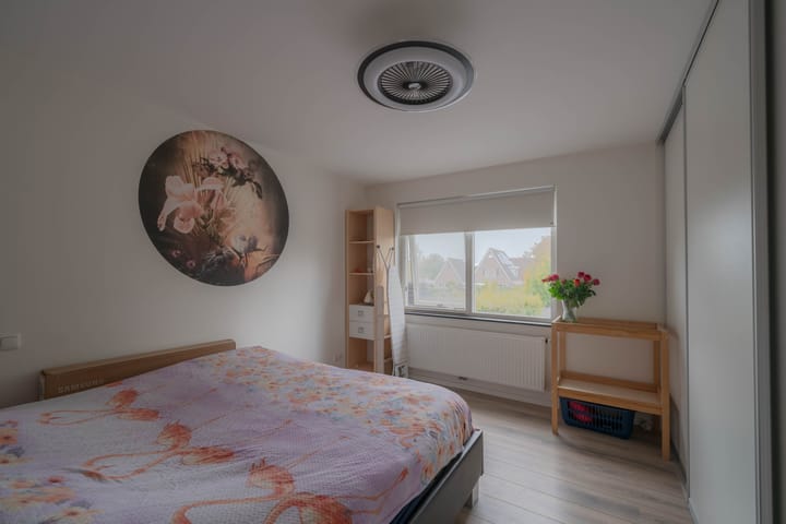 Photo 26 of Molefinne 42