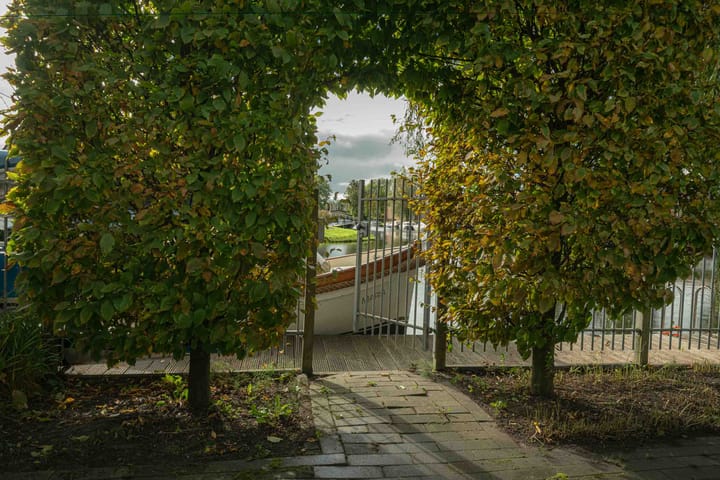 Photo 38 of Molefinne 42