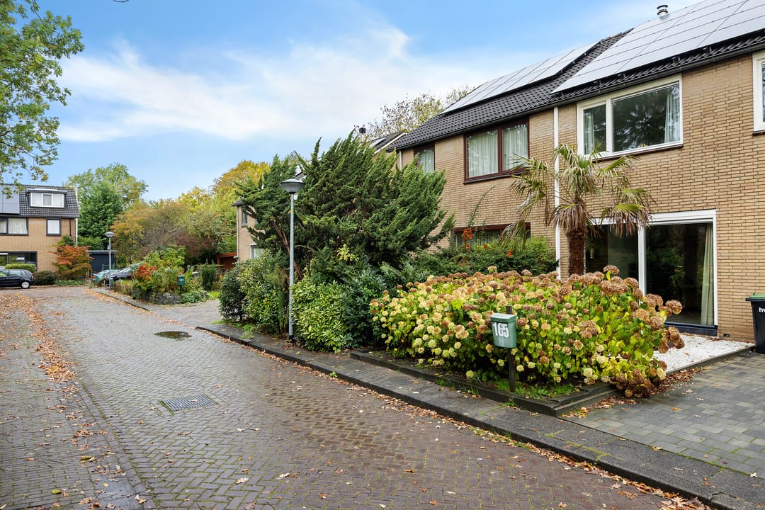 Photo 43 of Buitenplaats 163