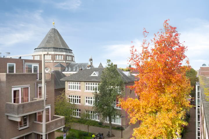 Photo 23 of Sumatrastraat 209-E