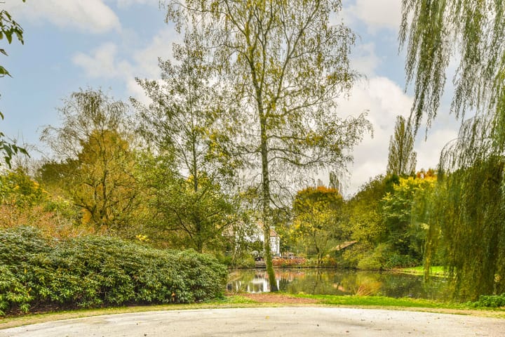 Photo 37 of Sumatrastraat 209-E