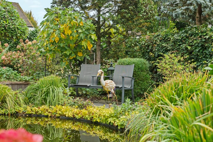 Foto 50 van Bolthagen 4