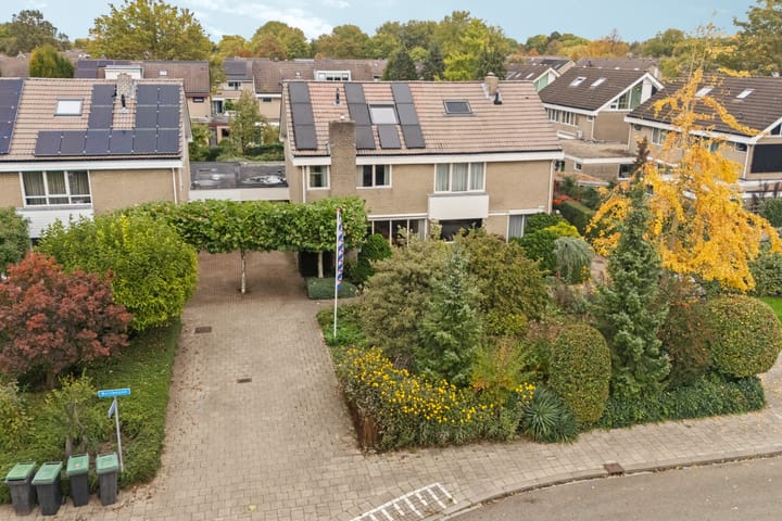 Foto 55 van Bolthagen 4