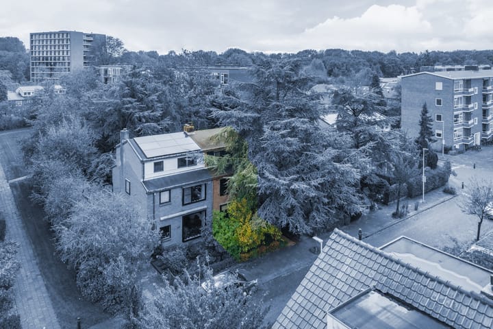 Foto 4 van Looplantsoen 210