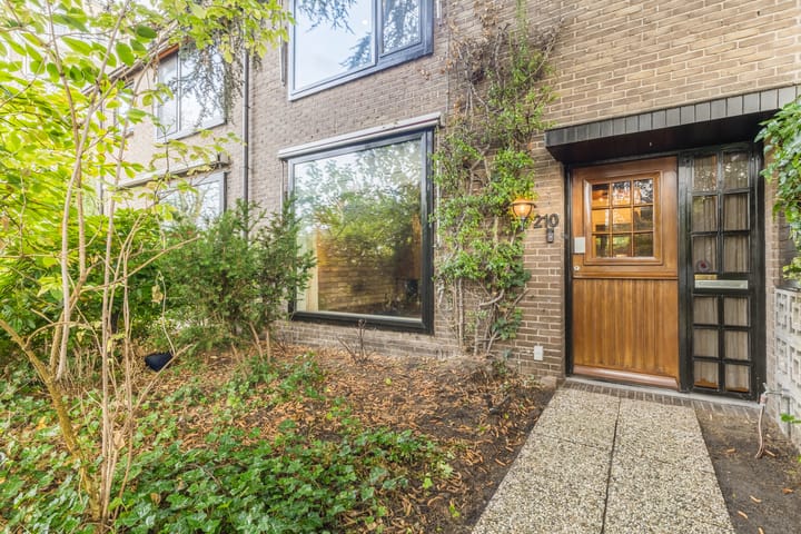 Foto 71 van Looplantsoen 210