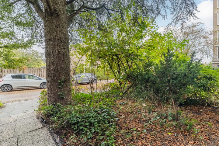 Foto 74 van Looplantsoen 210