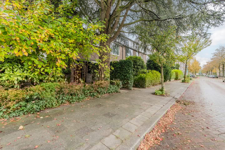 Foto 75 van Looplantsoen 210