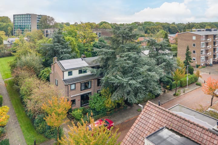 Foto 76 van Looplantsoen 210